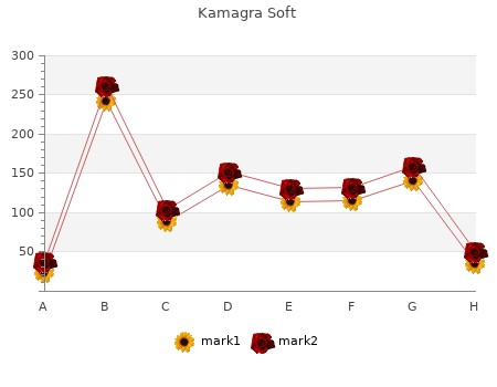 order kamagra soft 100mg with mastercard